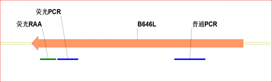 °桶ϼұ׼GB/T 18648-2020